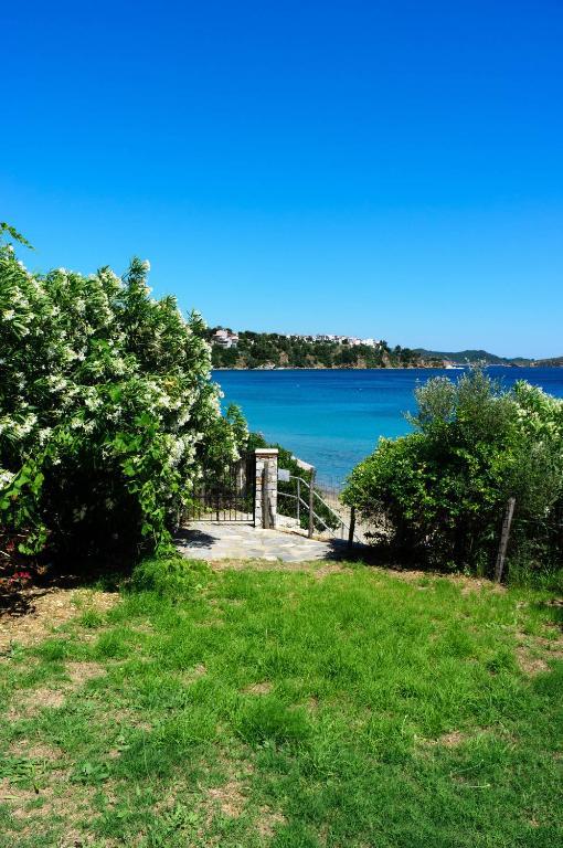 Aphrodite Skiathos Megali Ammos  Exterior photo