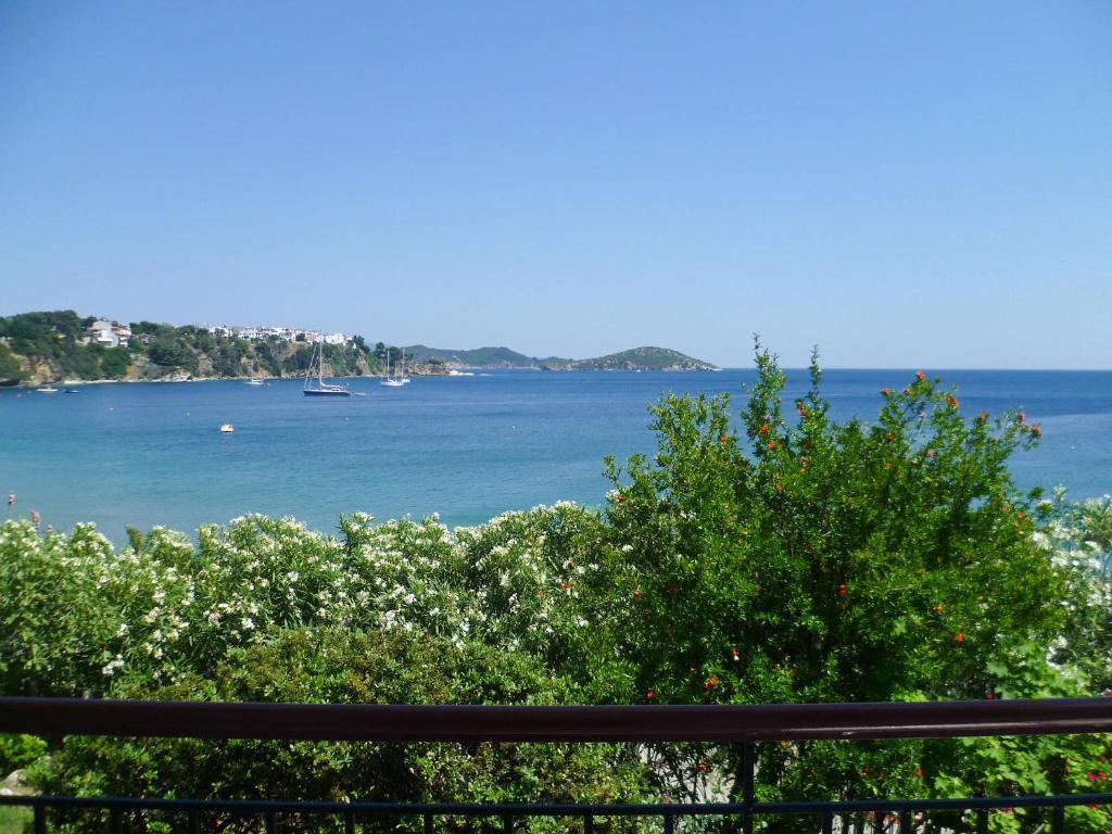 Aphrodite Skiathos Megali Ammos  Exterior photo